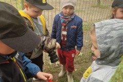 "Biedronki" - "Festyn" - 2025r.