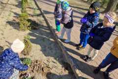IMG-20250323-WA0012
