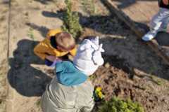 IMG-20250323-WA0013