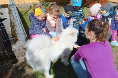 IMG_20250506_100940