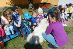 IMG_20250506_100957