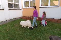 IMG_20250506_102632