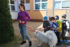 IMG_20250506_102712