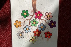 486371495_2339831569736173_6493792543745641492_n
