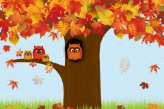 Autumn, tree, owls