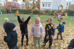 IMG_20241030_112026