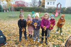 IMG_20241030_112058