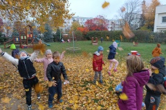 IMG_20241030_112120