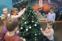 IMG_20241204_094227
