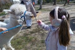 IMG_20250410_112852
