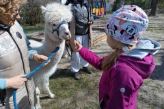 IMG_20250410_112900