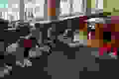 att.2wpJT5V2nBE260etNXcdo0IxlZ6p3lWo9sm_zpvYsVI