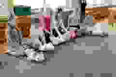 att.SXqW3au-nERmwlqka9Dq4VhYRZuoOCxd7WgPM_g6610