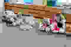 att.uHzIwPC5QEbND1H-unR4fZgnOnlqfp6tVrfbYjimd-k