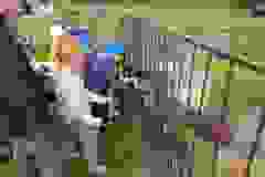 att.dqKg1VWuBH6Lw2cxbXbJieBFXKp86a4T_gOA5w-FzhE