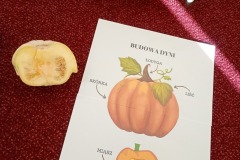 573004663_2541790552873606_3474639397207520190_n