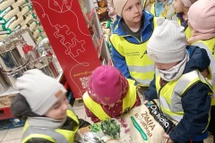 655886402_2670927619959898_8844797320888047811_n