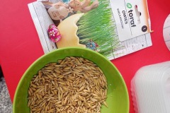 656241655_2670928899959770_7771791543476119323_n