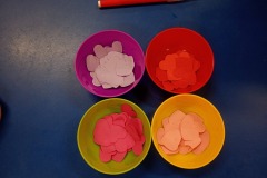 632703955_2634898820229445_5772906344443339716_n