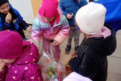 655501674_2673789219673738_1230050449059636392_n