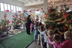 596729923_2576864332699561_8023616060909307174_n